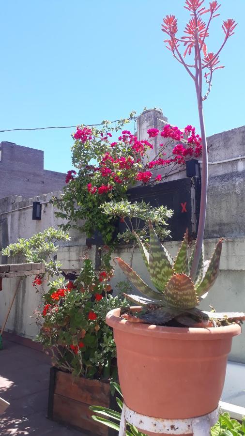 Kymani House Hotel Rosario Luaran gambar